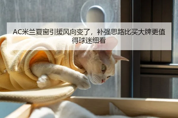AC米兰夏窗引援风向变了，补强思路比买大牌更值得球迷细看