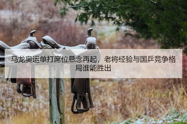 ma-long-ao-yun-dan-da-xi-wei-xuan-nian-zai-qi-lao-jiang-jing-yan-yu-guo-ping-jing-zheng-ge-ju-shui-neng-sheng-chu-2-277.jpg